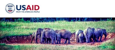 USAID Wildlife Asia News Round-Up, February 1-8, 2019